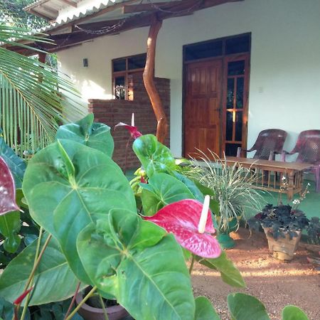 Amaya River Side Homestay Sigiriya Dış mekan fotoğraf
