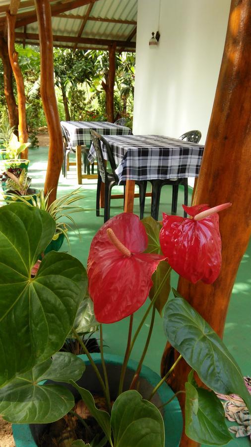 Amaya River Side Homestay Sigiriya Dış mekan fotoğraf