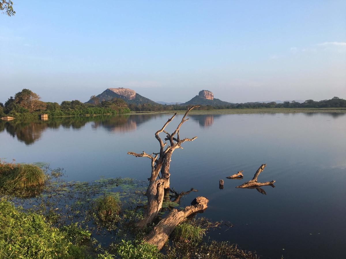 Amaya River Side Homestay Sigiriya Dış mekan fotoğraf